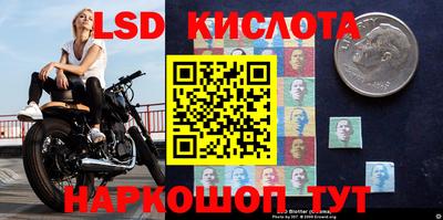 spice Кимры