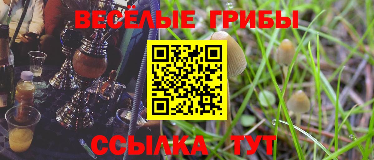 Тара  Псилоцибиновые грибы GOLDEN TEACHER  Вход с VPN 