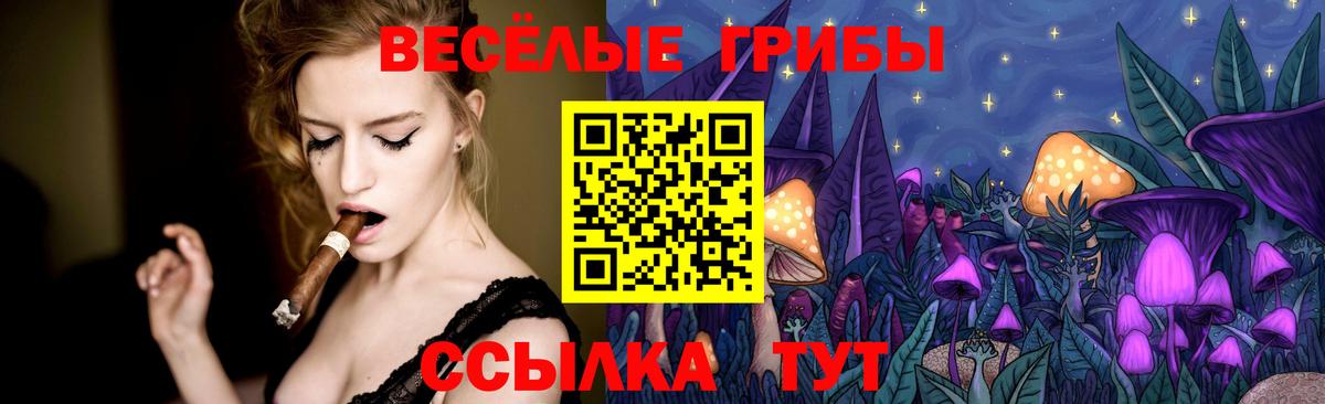 Псилоцибиновые грибы Magic Shrooms Тара